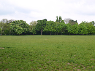 Image showing Urban Park