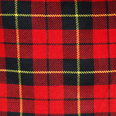 Image showing Tartan picture