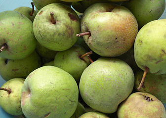Image showing Pears picture