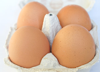 Image showing Eggs picture