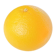Image showing Grapefruit picture