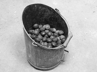 Image showing bucket coal