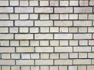 Image showing White bricks