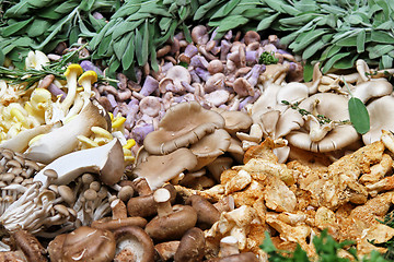 Image showing Mushroom selection