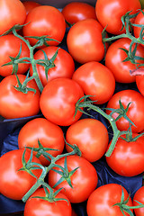 Image showing Tomatoes