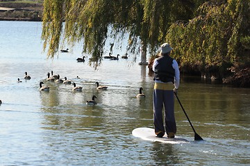 Image showing Man on paddle-board with trees and geese