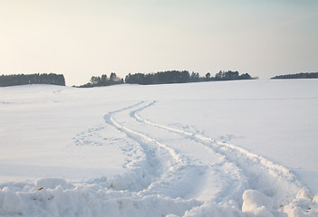 Image showing Winter season