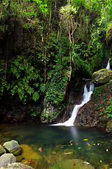 Image showing waterfall in forest