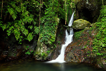 Image showing Waterfall