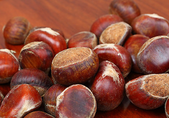 Image showing chestnut