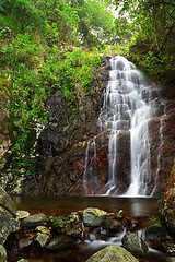 Image showing waterfall in forest