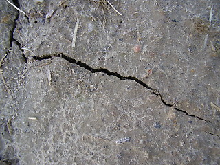 Image showing soil