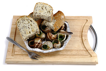 Image showing snails as gourmet food 