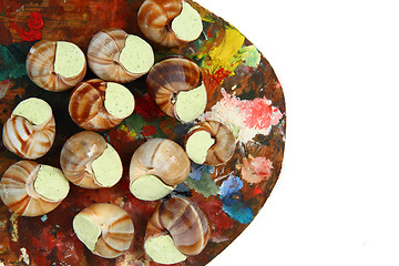 Image showing snails as gourmet food 