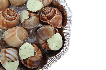 Image showing snails as gourmet food 