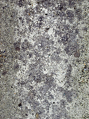 Image showing Concrete picture