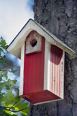 Image showing A Bird House in a forest 