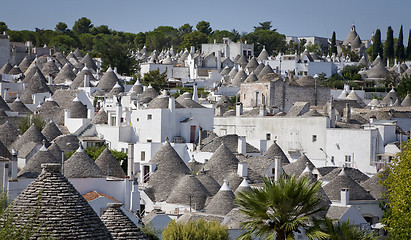 Image showing Old town Alberobello