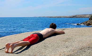 Image showing Norwegian Summer