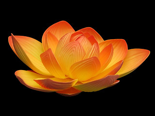 Image showing Lotus