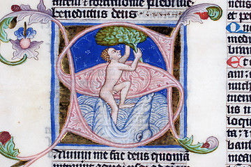 Image showing Illustration in an old bible book