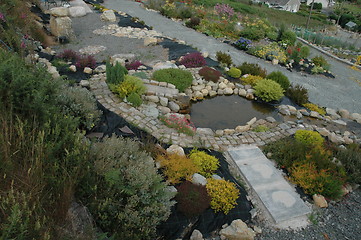 Image showing garden pond
