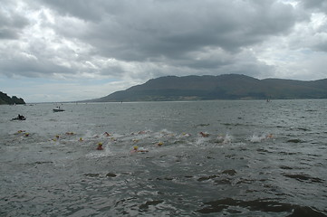 Image showing swimming at rostrevor