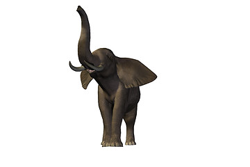 Image showing ELEPHANT 2