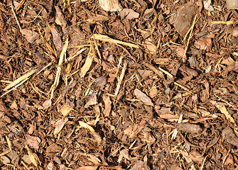 Image showing Bark mulch