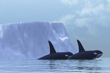 Image showing ORCA