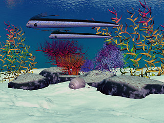 Image showing REEF