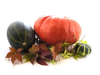 Image showing pumpkin