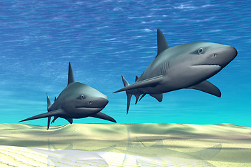 Image showing SHARKS