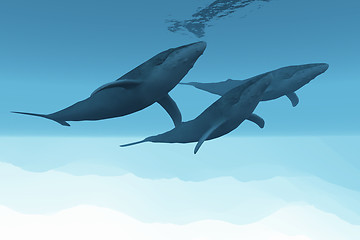 Image showing UNDERWATER WORLD