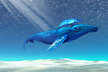 Image showing Whales