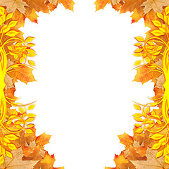 Image showing frame maple leaves