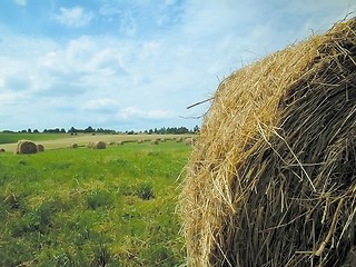 Image showing farmland