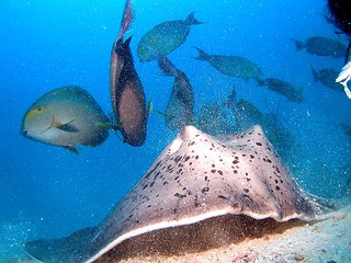 Image showing under water