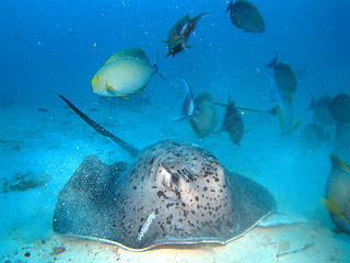 Image showing under water