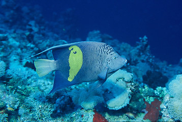 Image showing under water