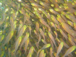 Image showing under water