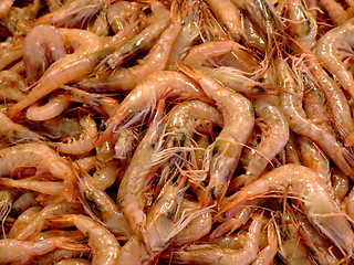 Image showing Bunch of shrimps