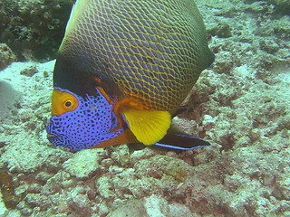 Image showing under water