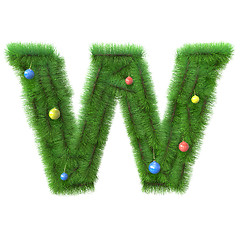 Image showing W letter made of christmas tree branches