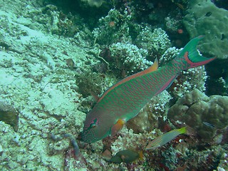 Image showing under water