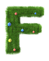 Image showing F tter made of christmas tree branches