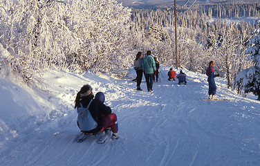 Image showing Nordmarka in Oslo.