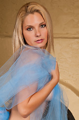 Image showing Blue tulle