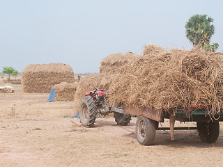 Image showing Stacks of hay in Cambodia