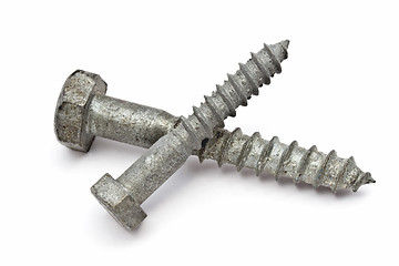 Image showing Two screws